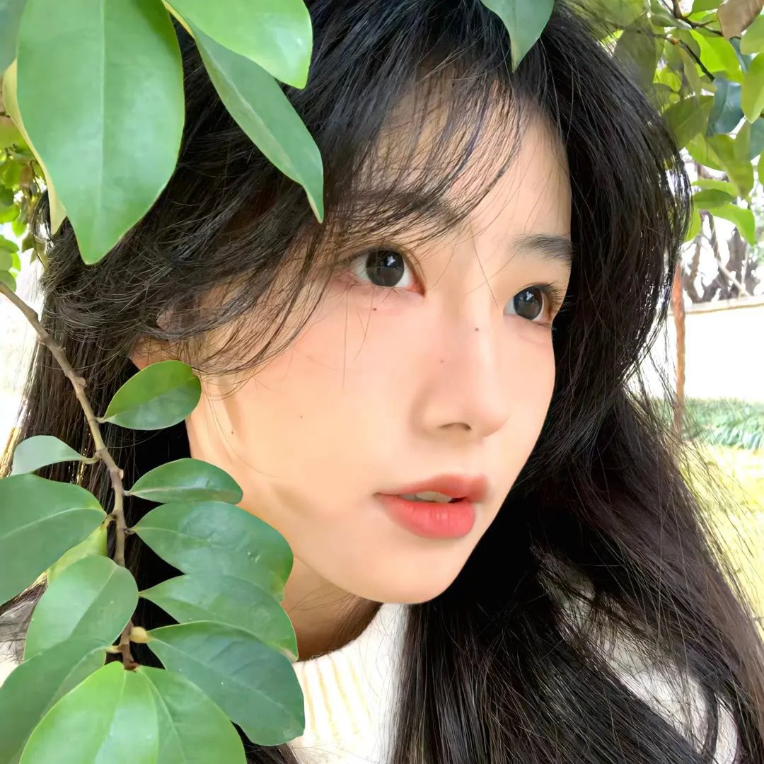 欲望绿洲