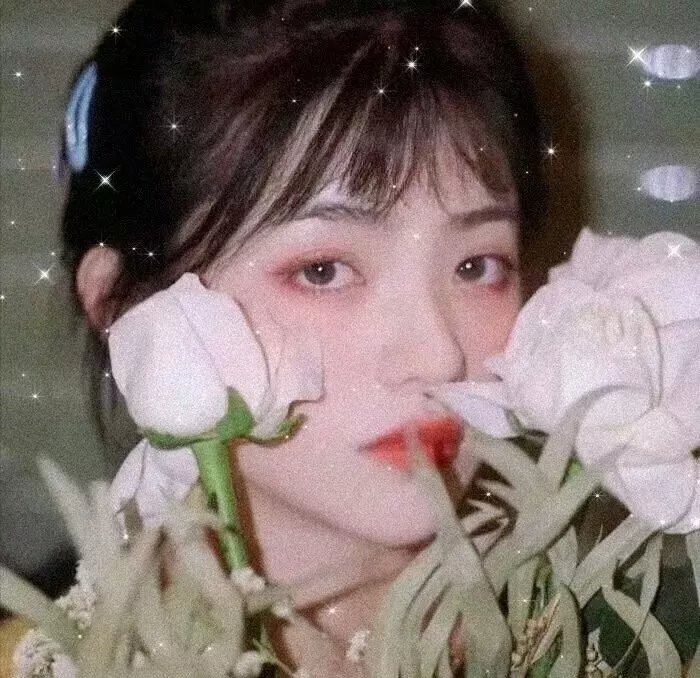 魔女南茜:星河谋杀案